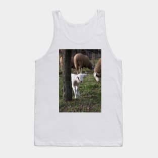 Shy lamb Tank Top